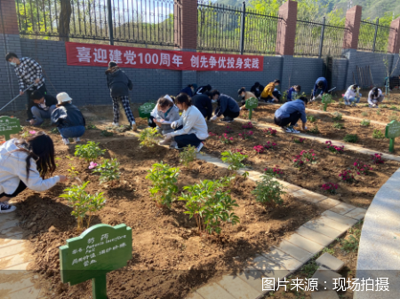 图片来源：现场拍摄 